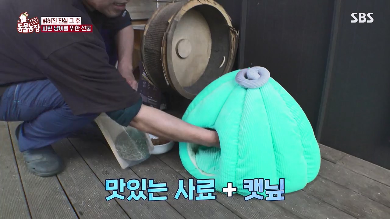 TV 동물농장.E1177.240624p-NEXT.mp4_20240623_163740.844.jpg