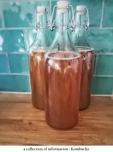 kombucha