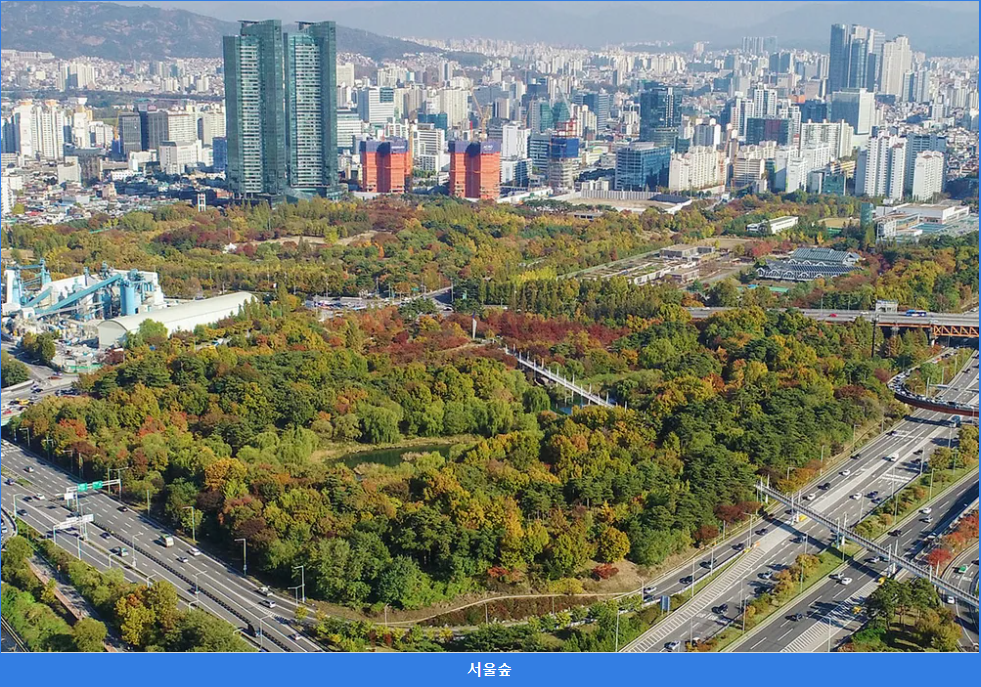 서울숲전경