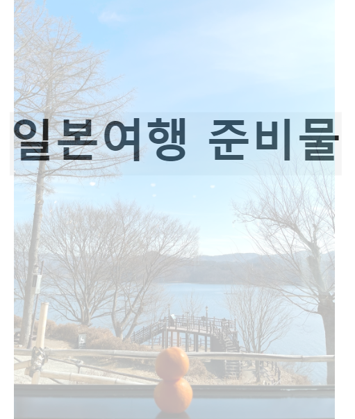 일본여행 준비물