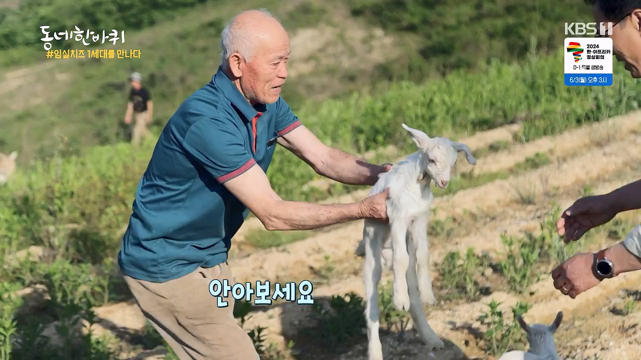 동네 한 바퀴.E276.240602p-NEXT.mp4_20240602_162340.169.jpg