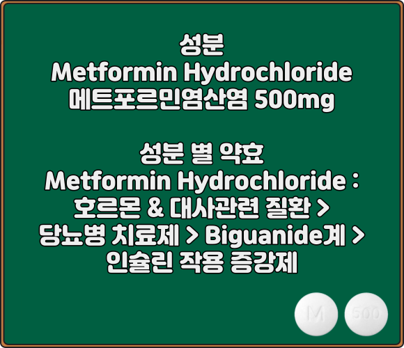 글루코파지정_성분