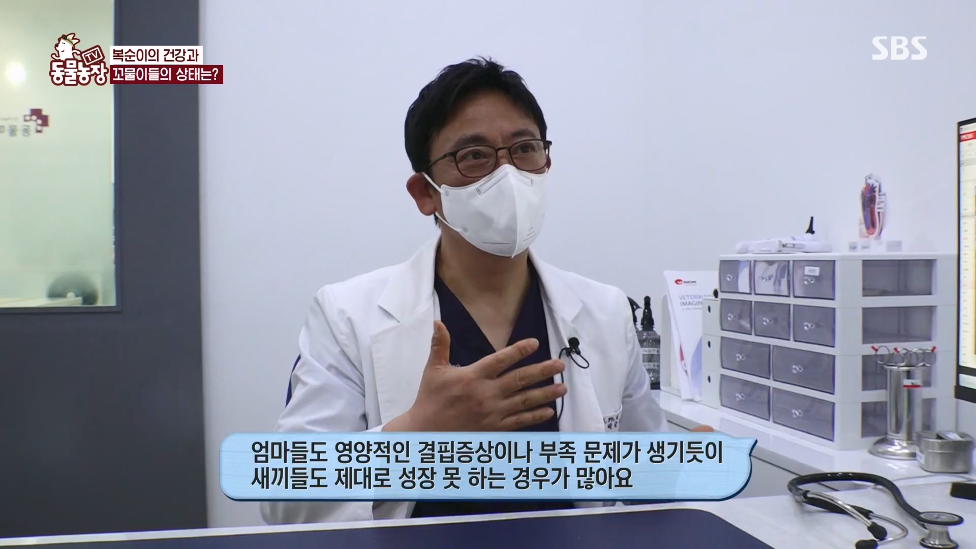 TV 동물농장.E1118.230423p.H264-F1RST.mp4_20230423_181115.861.jpg