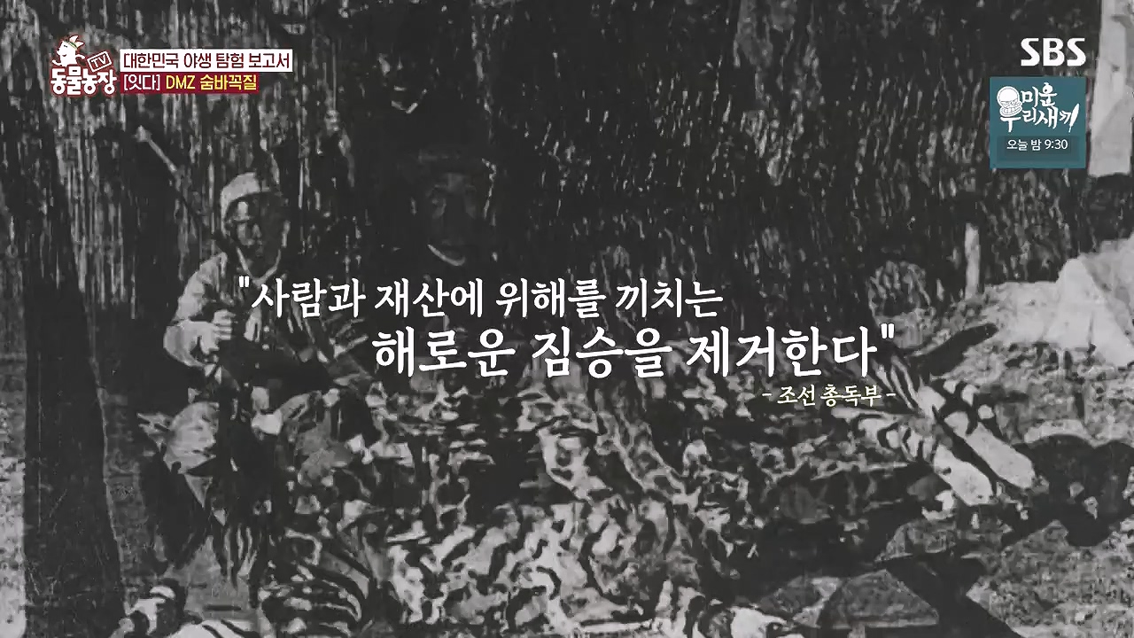 TV 동물농장.E1184.240812p-NEXT.mp4_20240811_172509.507.jpg