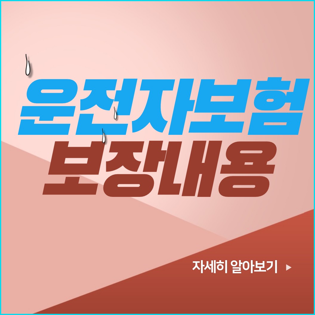  운전자 보험 보장 내용