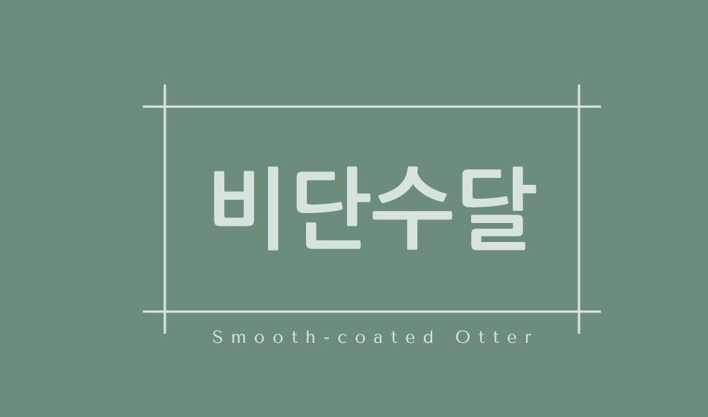 비단수달(Smooth-coated Otter)