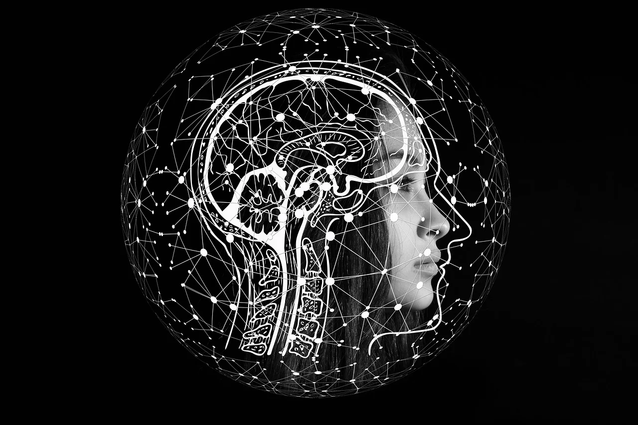 야간 수면 vs 낮잠: 기억력에 더 효과적인 수면은?