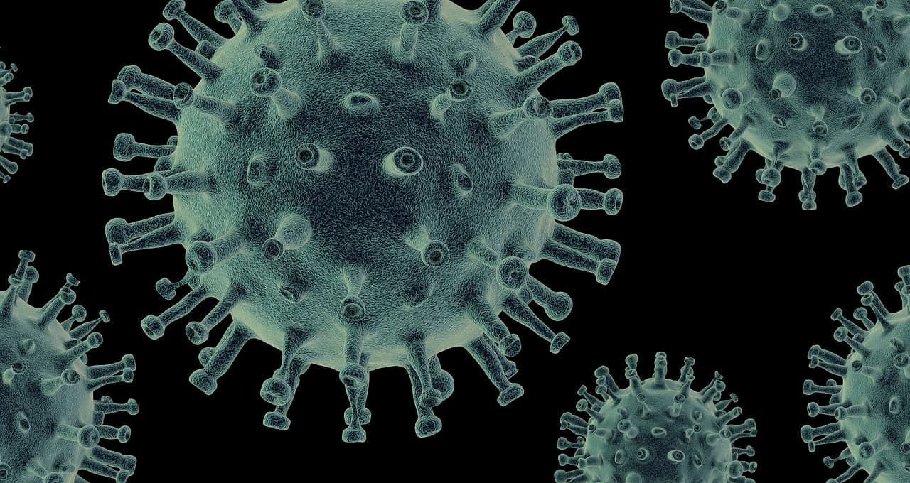 인유두종 바이러스 치료를 위한 연구