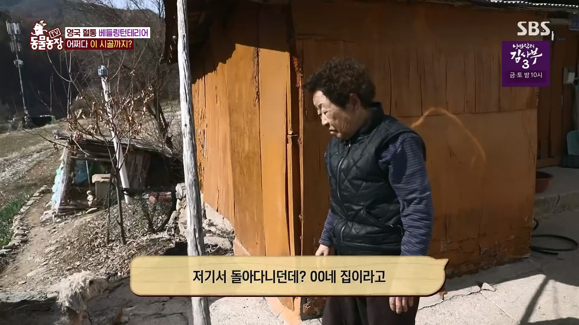 TV 동물농장.E1118.230430p.H264-F1RST.mp4_20230430_172359.154.jpg