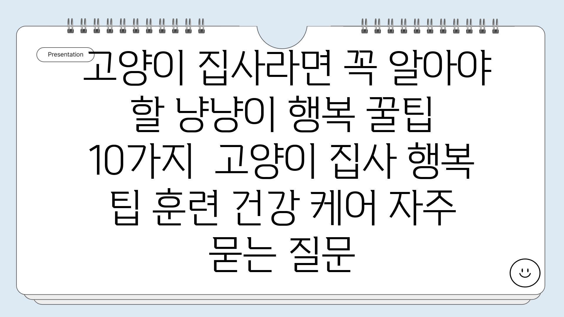  고양이 집사라면 꼭 알아야 할 냥냥이 행복 꿀팁 10가지  고양이 집사 행복 팁 훈련 건강 케어 자주 묻는 질문