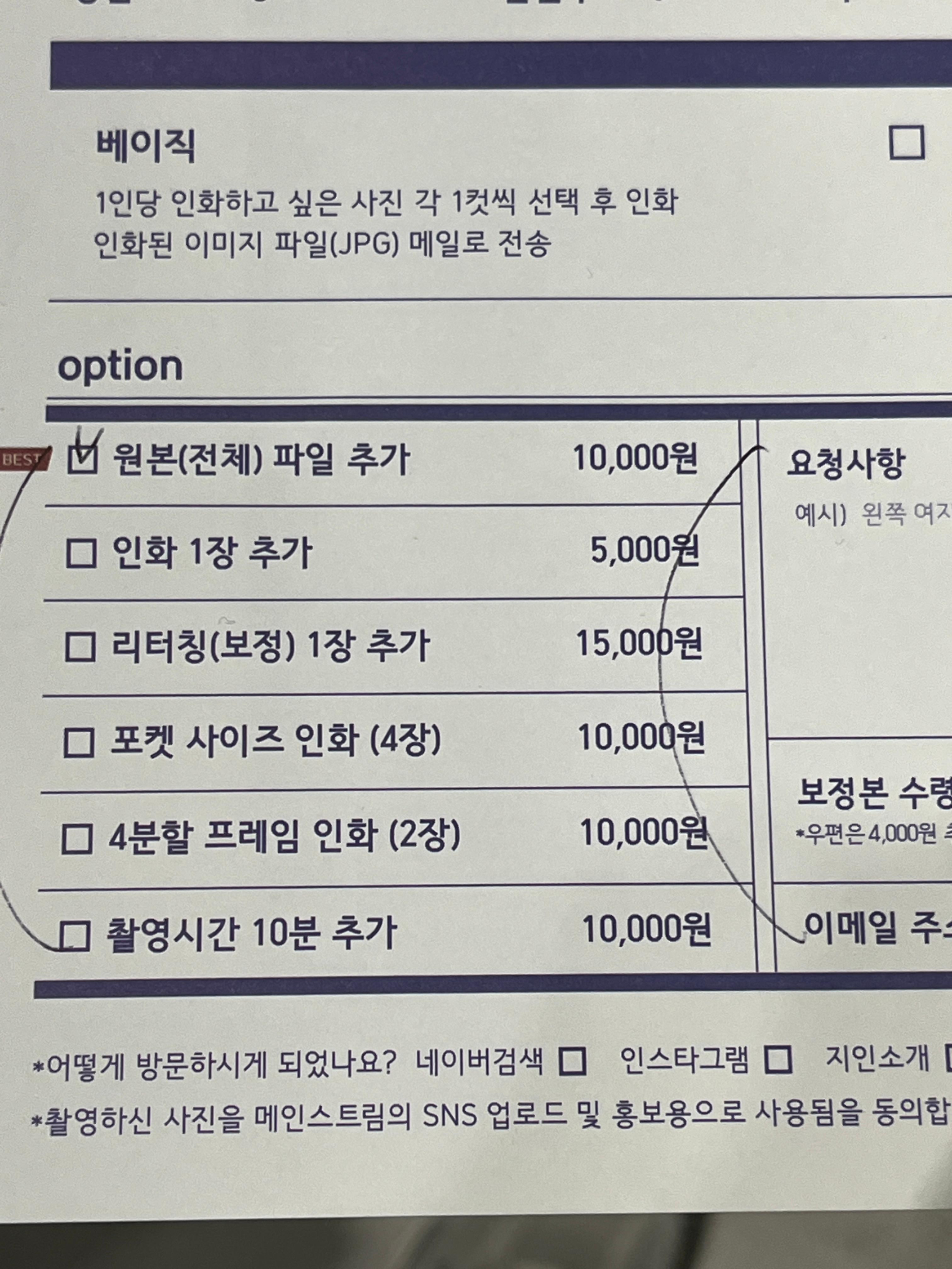 메인스트림 옵션