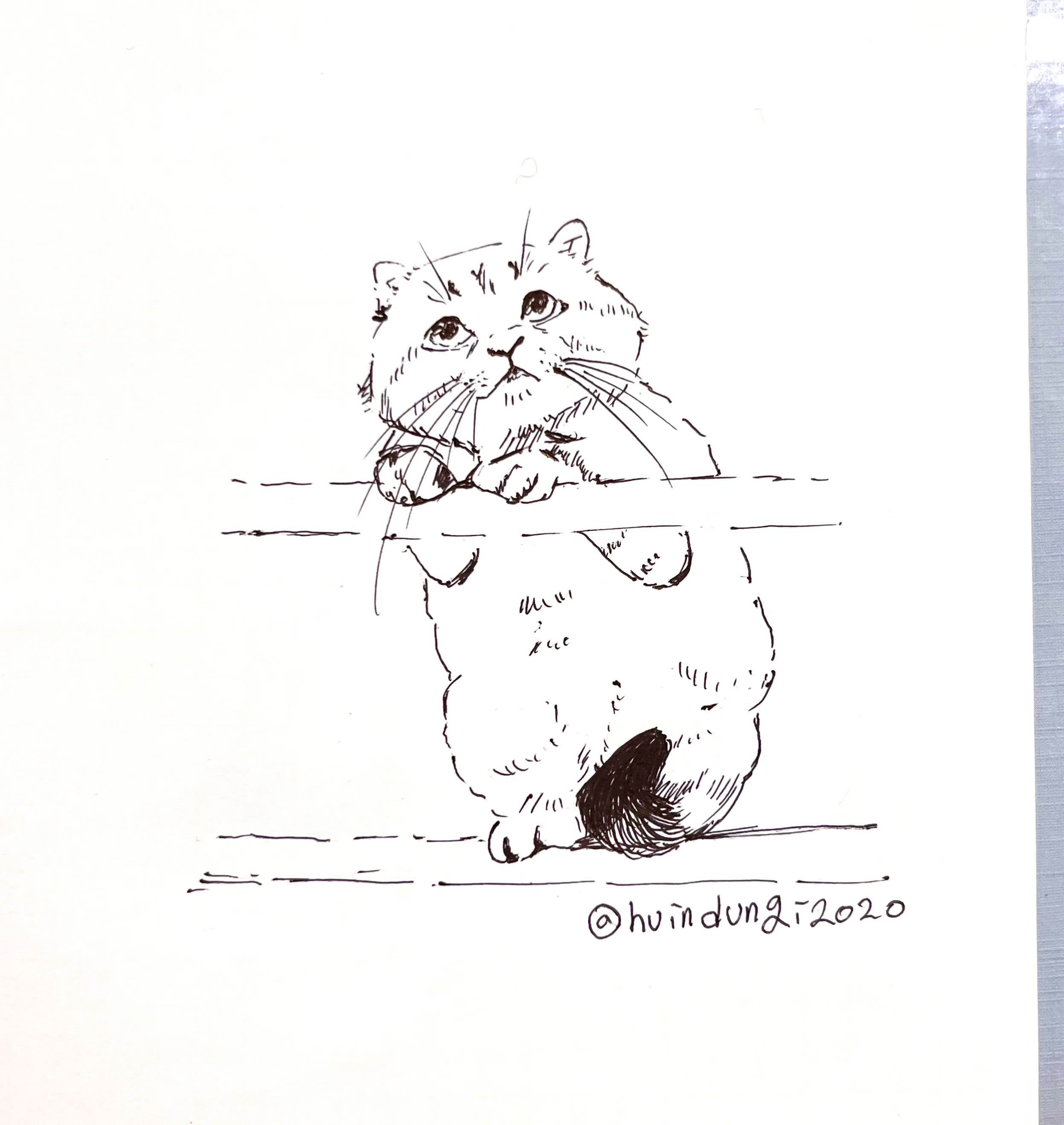  [취미생활 : 그림] 나 좀 도와줘요.. (고양이 그림 : 펜그림)