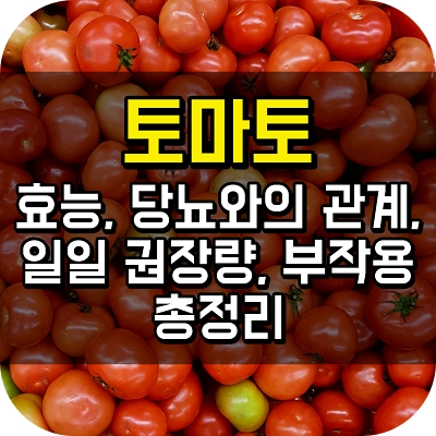 토마토 효능 당뇨 일일 하루 권장 섭취 량 부작용 먹으면 안 되는 사람 비타민 식이섬유 전립선 항 암 항산화 심혈관 질환 심장병 라이코펜 조리법 간식 좋은 혈당 지수 gi 보관 부작용 위산 다이어트 슈퍼푸드 영양 제철 고혈압 뼈 건강 골다공증 치매 호르몬 변비 해소 정력 환자 인슐린 동맥경화 고르는 방법 냉장 역류성 식도염