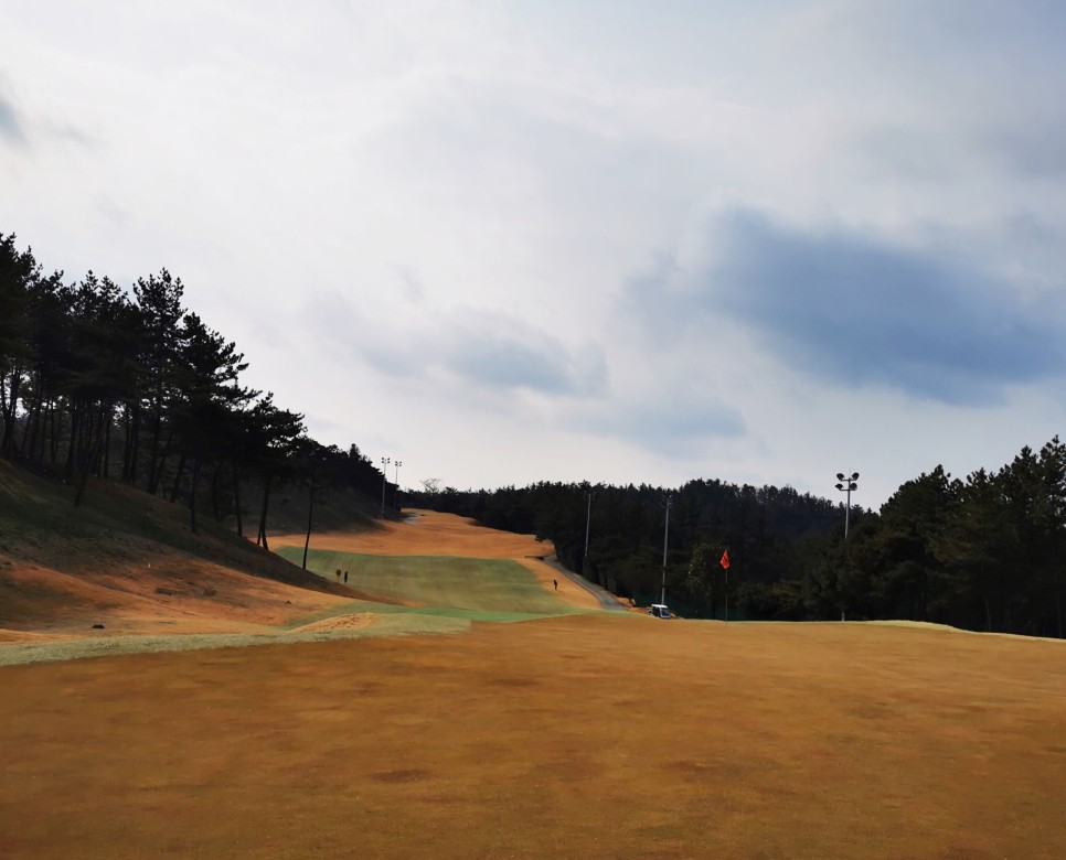 마제스티 1박2일 함평 엘리체CC 6