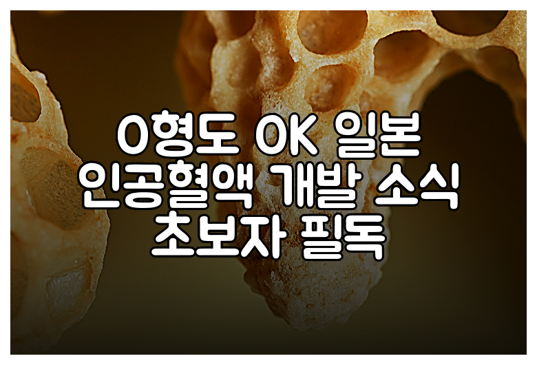 O형도 OK 일본 인공혈액 개발 소식 초보자 필독