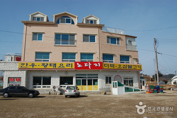 대관령 하늘 목장