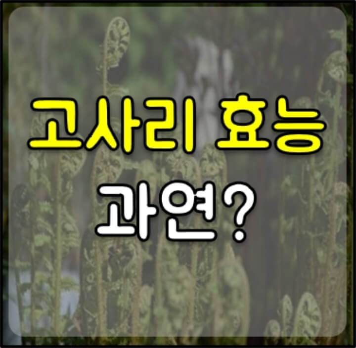 고사리-효능-썸네일