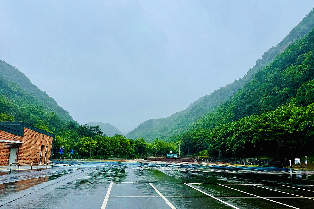 금산 산벚꽃마을 오토캠핑장