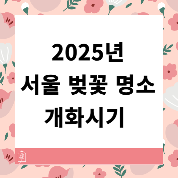 2025년 벚꽃 개화시기