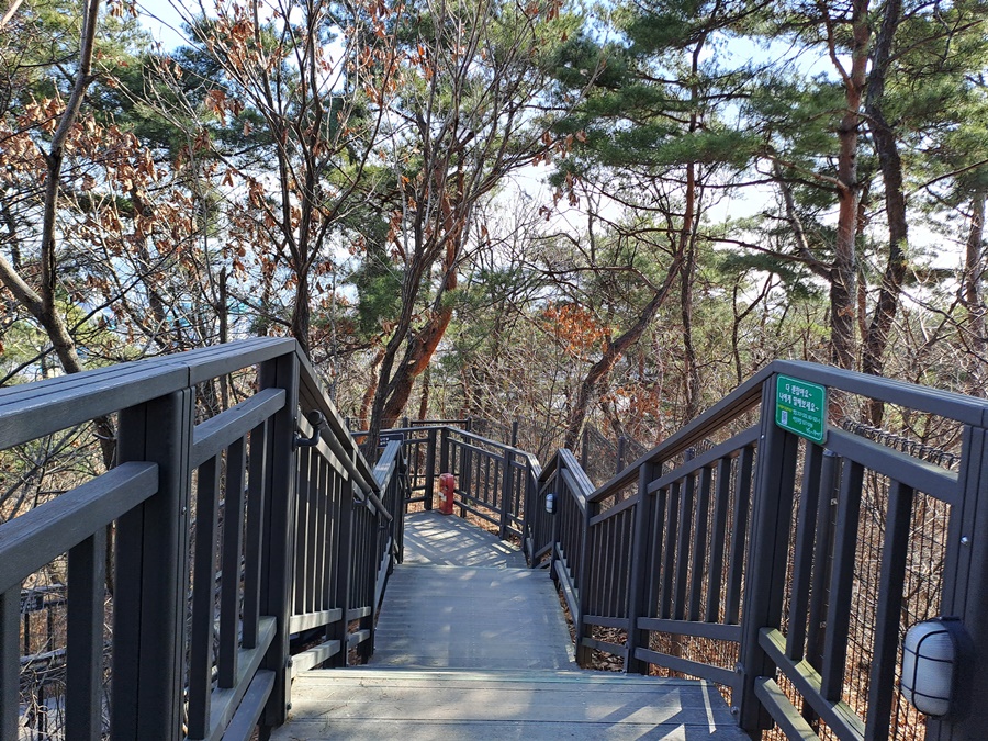 천장산-하산길_02