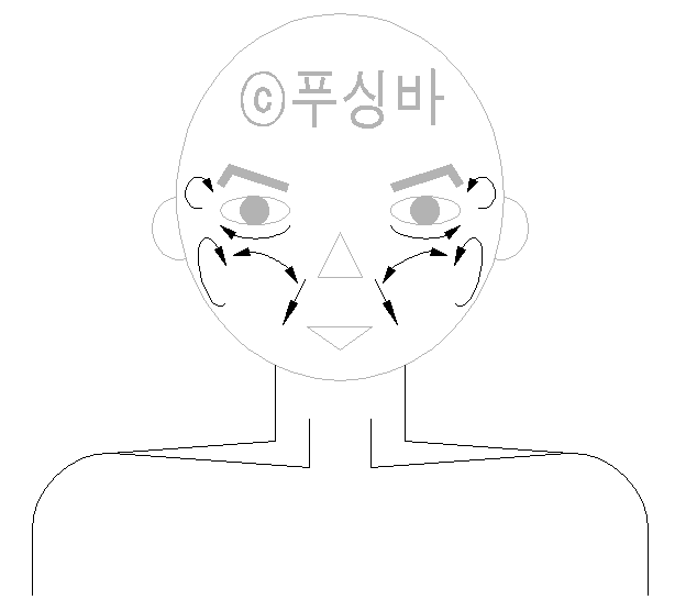  콜라겐 주사 종류, 장점, 부작용, 적용부위등