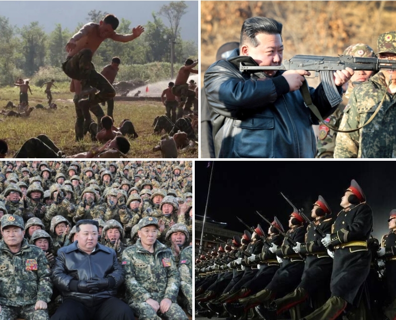 장사정포 관련사진