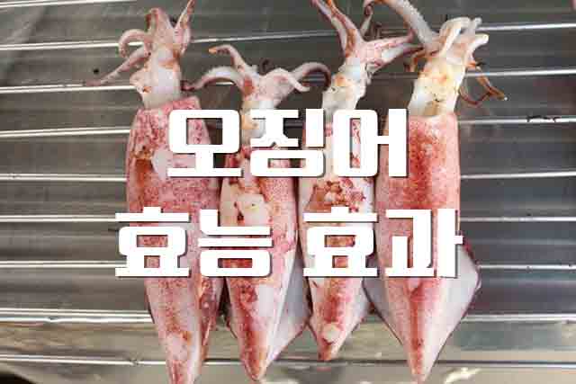  오징어, 풍부한 타우린으로 간 기능 개선에 도움