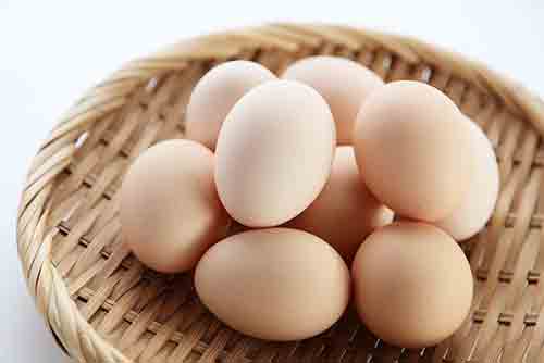 달걀 단백질