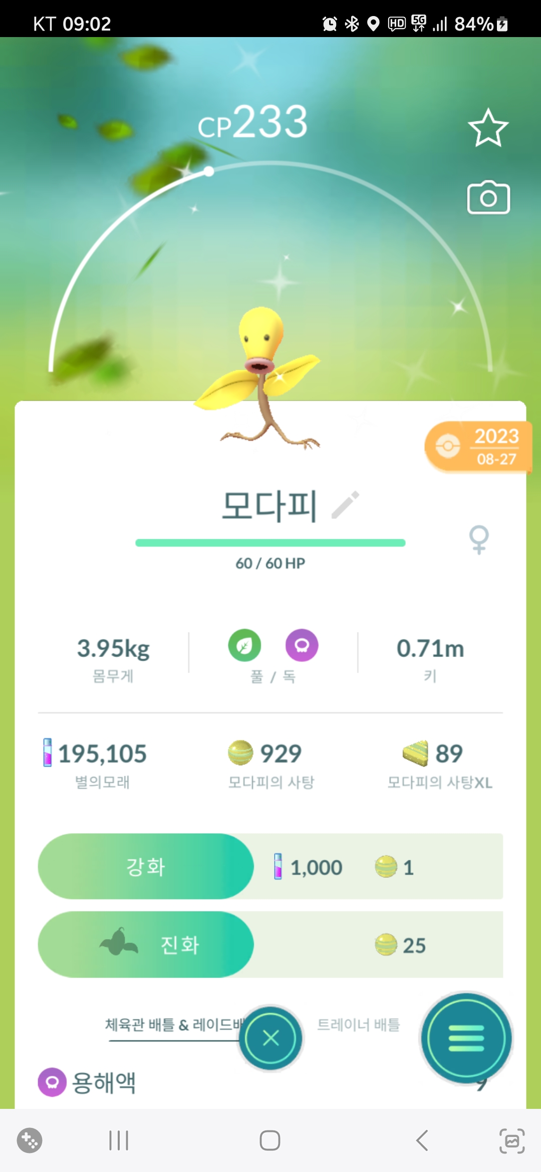 이로치 모다피