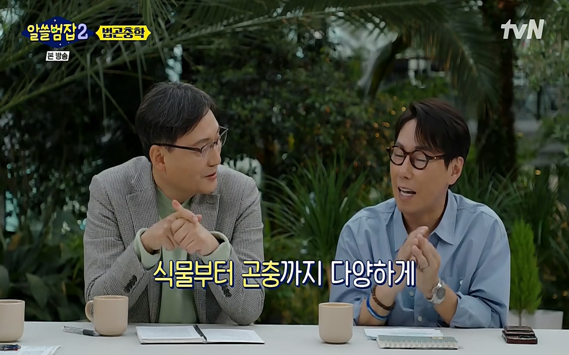 알쓸범잡 2.E15.220425p-NEXT.mp4_20220425_181409.239.jpg