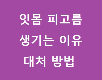 잇몸 피고임