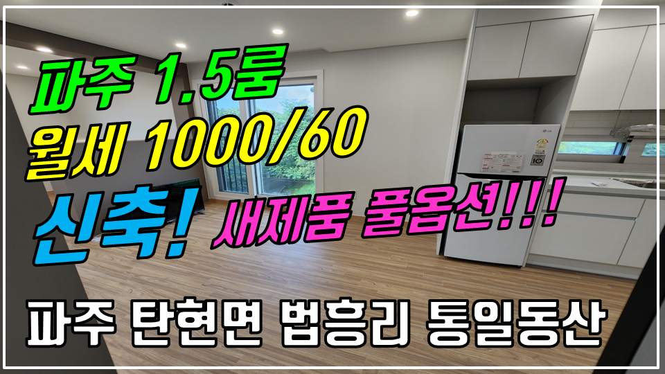  파주 탄현면 법흥리 1.5룸/통일동산 1.5룸/헤이리 1.5룸/파주영어마을 1.5룸/엘지디스플레이 1.5룸 월세 1000/60만 신축 풀옵션 주차장완비 전망좋은 펜션형 거실 넓은 1.5룸 임대 엘리베이터 운행
