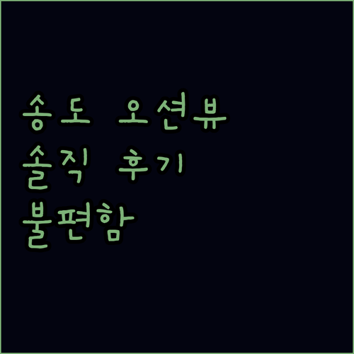 그랩 디 오션 송도 뷰 맛집? 솔직 