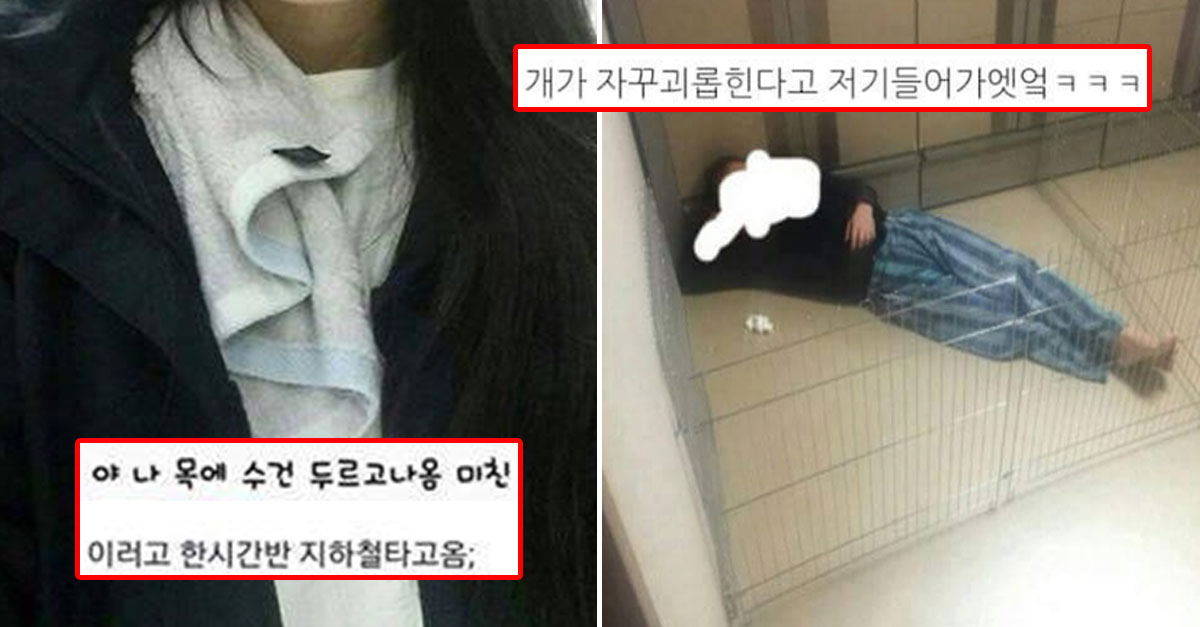  심심할 때 보면 좋은 빵터지는 짤들ㅋㅋㅋ