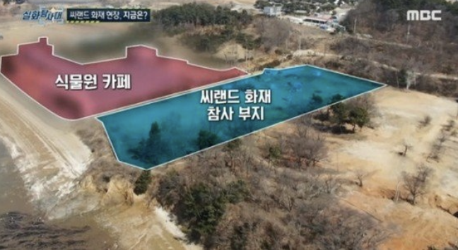씨랜드 부지 근황 카페