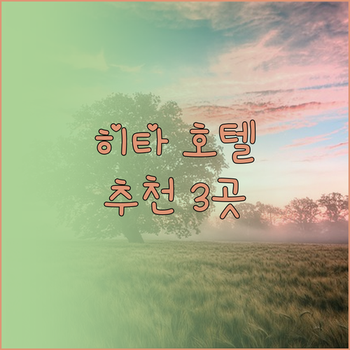 히타 지역 추천 호텔 3곳 객실, 서