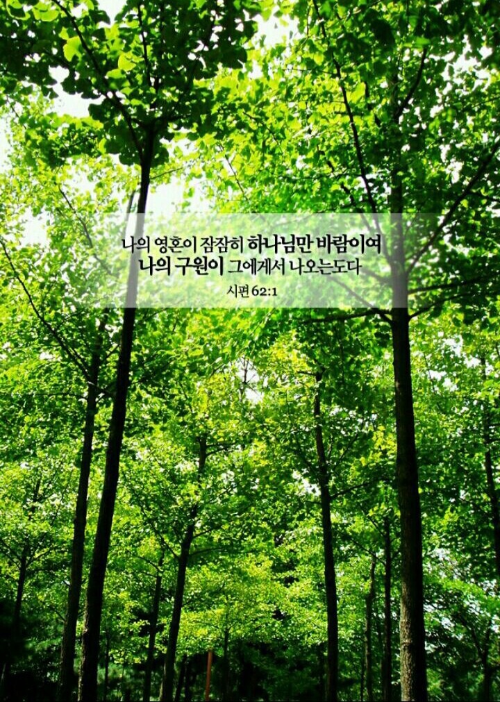 닛시 이미지