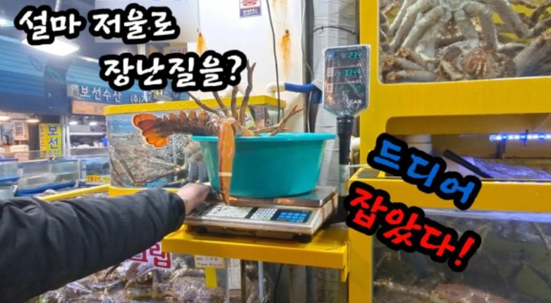 저울로 장난질한 소래포구 저울점검에서 걸림