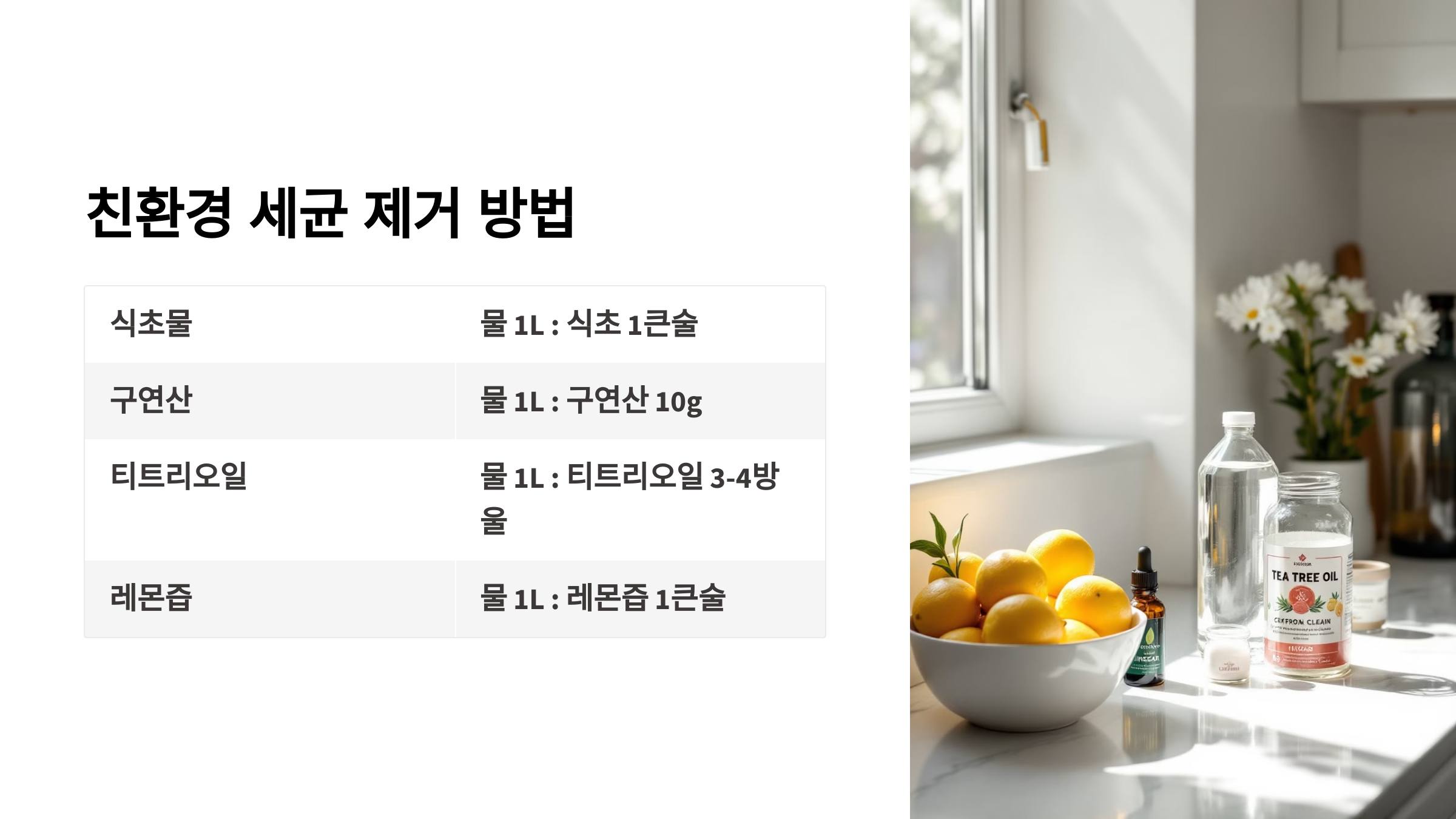 친환경 세균 제거 방법을 소개한 PPT 이미지