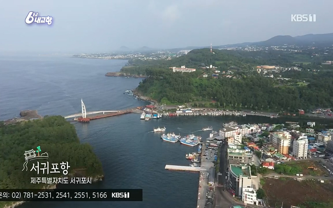 6시 내고향.E7596.220813p.H264-F1RST.mp4_20220814_175659.098.jpg
