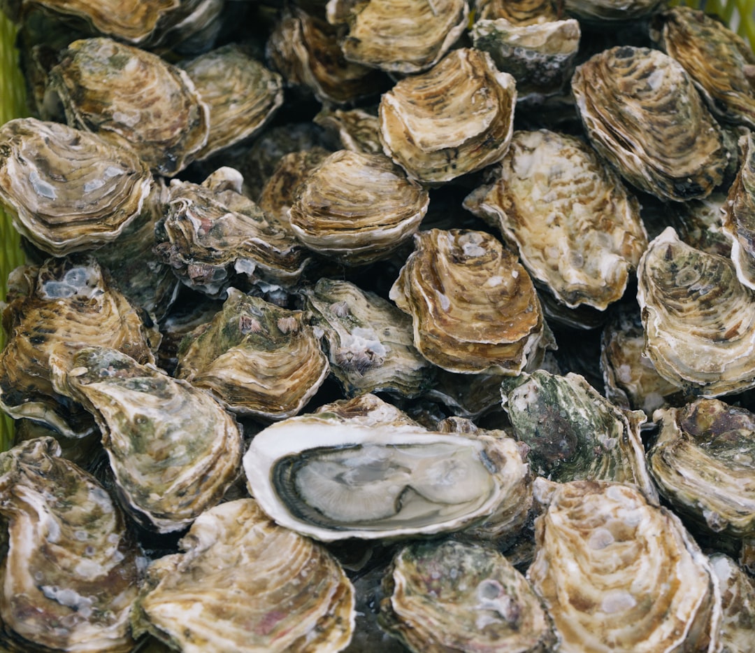 굴 (oyster)