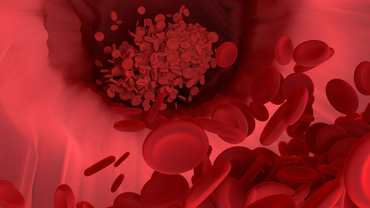 혈관속-적혈구들