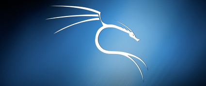  [Kali Linux] Kali Linux 설치