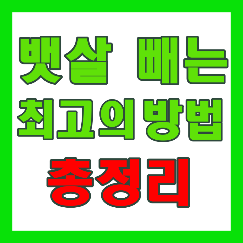  뱃살 빼는 최고의 방법 총정리 알려드려요~!