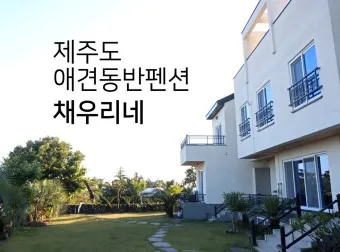 전국 애견동반 펜션 추천 목록 10곳 반려견 동행 휴식 여행_24