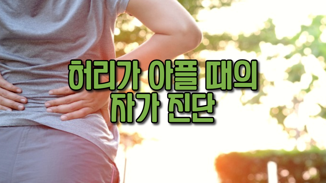  허리가 아플 때의 자가 진단