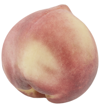 연골연화증의 치료