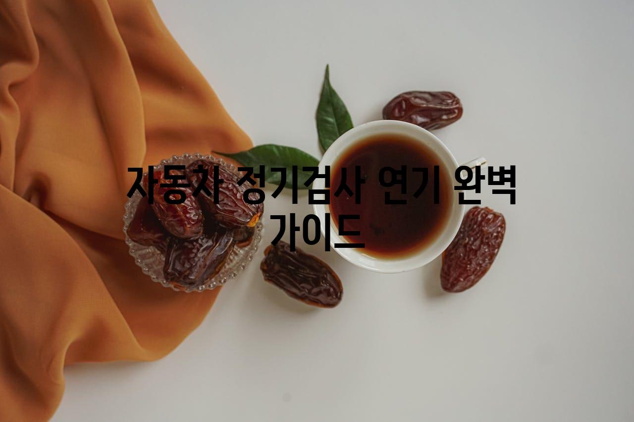  자동차 정기검사 연기 완벽 설명서