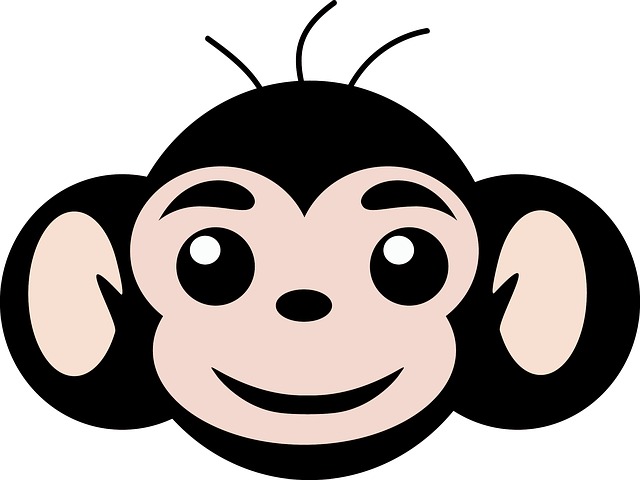 원숭이띠-단점