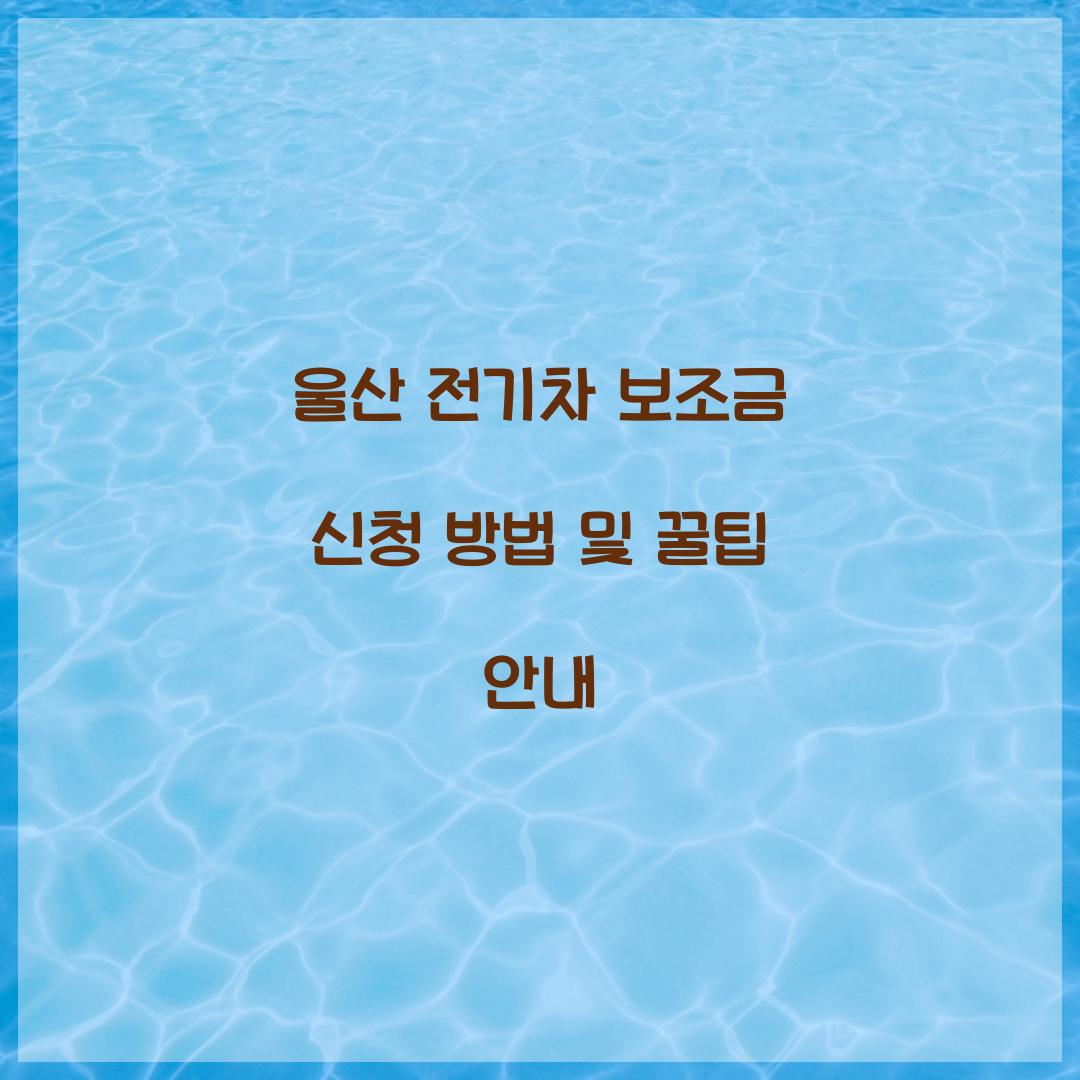 울산 전기차 보조금